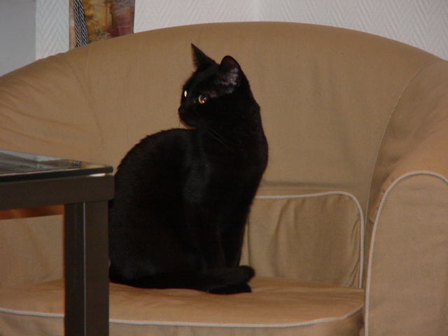 Unser Schner
