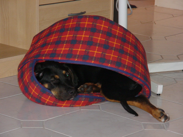 Unsere Kleinste